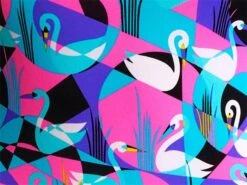 Funkita Eco Swan Around Ladies Badeanzug Single Strength - 34 (8) -Schwimmausrüstung Geschäft z ECO SWAN AROUND munster