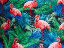 Funkita Jungle Bungle Ladies Badeanzug Diamond Back - 34 (8) -Schwimmausrüstung Geschäft z JUNGLE BUNGLE munster