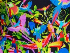 Funkita Macaw Magic Girls Badeanzug Single Strap - 176 (14) -Schwimmausrüstung Geschäft z MACAW MAGIC munster