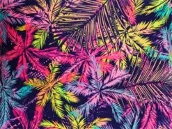 Funky Trunks Palm Puppy Mens Badehose Classic Briefs - 3 (XS) 10 Funky Trunks Palm Puppy Mens Badehose Classic Briefs - 3 (XS) -Schwimmausrüstung Geschäft z Palm20Puppy munster 1