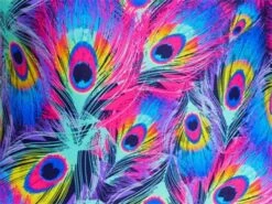 Funkita Peacock Paradise Ladies Badeanzug Single Strength - 36 (10) -Schwimmausrüstung Geschäft z Peacock20Paradise munster