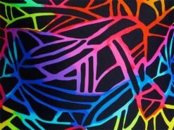 Funkita Rainbow Web Ladies Schwimmbikini Sports Top + Sports Brief - 34 (8) 10 Funkita Rainbow Web Ladies Schwimmbikini Sports Top + Sports Brief - 34 (8) -Schwimmausrüstung Geschäft z RAINBOW WEB munster