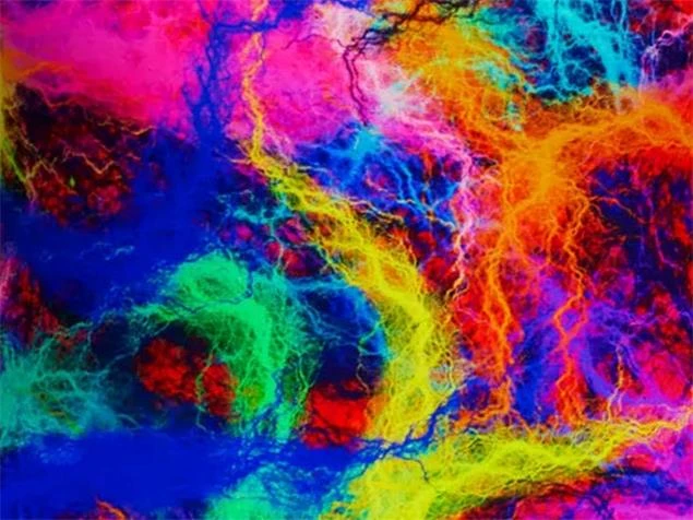 Funkita Solar Flares Ladies Schwimmbikini Swim Crop Top + Hipster Brief - 40 (14) 6 Funkita Solar Flares Ladies Schwimmbikini Swim Crop Top + Hipster Brief - 40 (14) – Bild 4