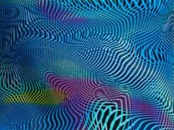 Funkita Wires Crossed Girls Badeanzug Diamond Back - 164 (12) 10 Funkita Wires Crossed Girls Badeanzug Diamond Back - 164 (12) -Schwimmausrüstung Geschäft z Wires20Crossed munster 1