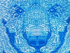 Funkita Bear Suit Ladies Badeanzug Single Strenght - 34 (8) -Schwimmausrüstung Geschäft z bear suit munster