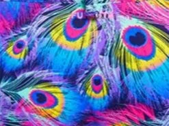 Funkita Peacock Paradise Girls Badeanzug Single Strap - 164 (12) -Schwimmausrüstung Geschäft z peacock munster