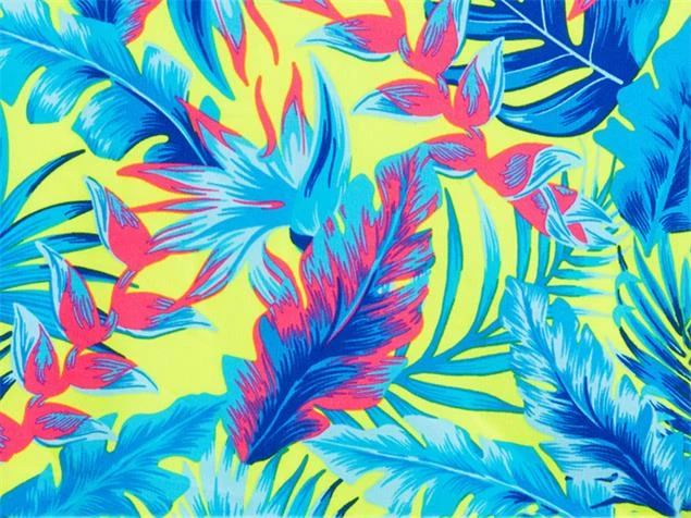 Funkita Eco Poptail Ladies Schwimmbikini Swim Crop Top + Hipster Brief - 34 (8) 6 Funkita Eco Poptail Ladies Schwimmbikini Swim Crop Top + Hipster Brief - 34 (8) – Bild 4