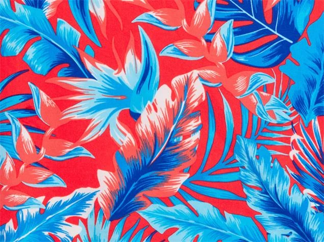 Funkita Eco Trop Shop Ladies Badeanzug Brace Free - 38 (12) 7 Funkita Eco Trop Shop Ladies Badeanzug Brace Free - 38 (12) – Bild 5